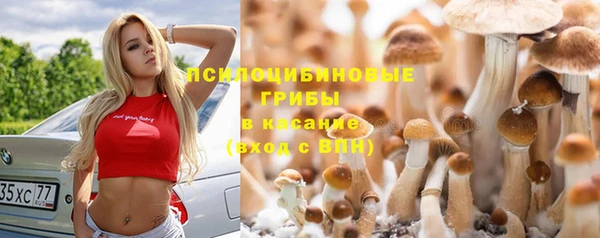 винт Алексин