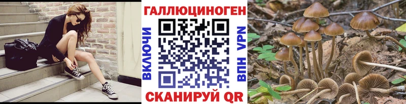 Галлюциногенные грибы Cubensis  хочу   Хотьково 
